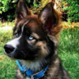 Meet your Posher, Jess